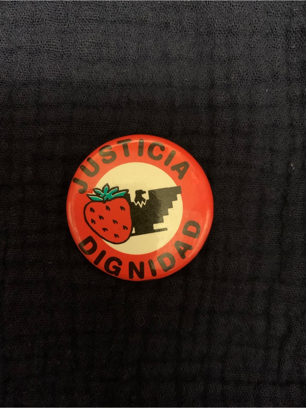 Strawberry field workers union - activist pin -button. Wear with pride-support